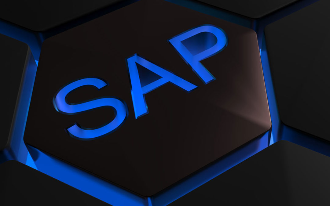 MARIProject para SAP Business One, la solución para los proveedores de servicios que trabajan con proyectos