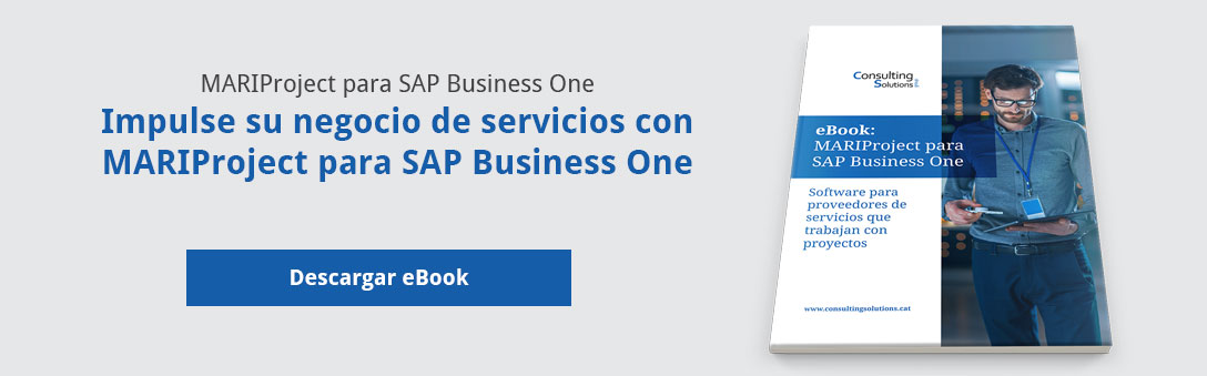 cta-mariproject-sapbusinessone-servicios