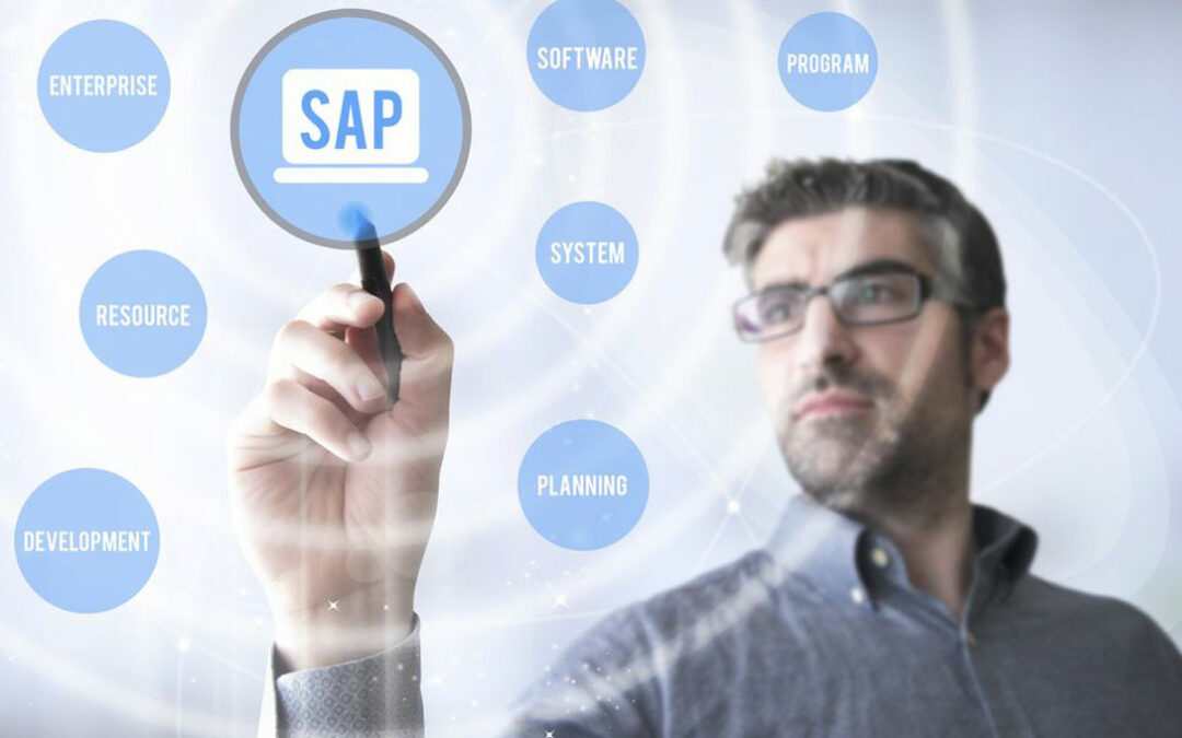 Sap Business One Software Perfecto Para Pyme 4111