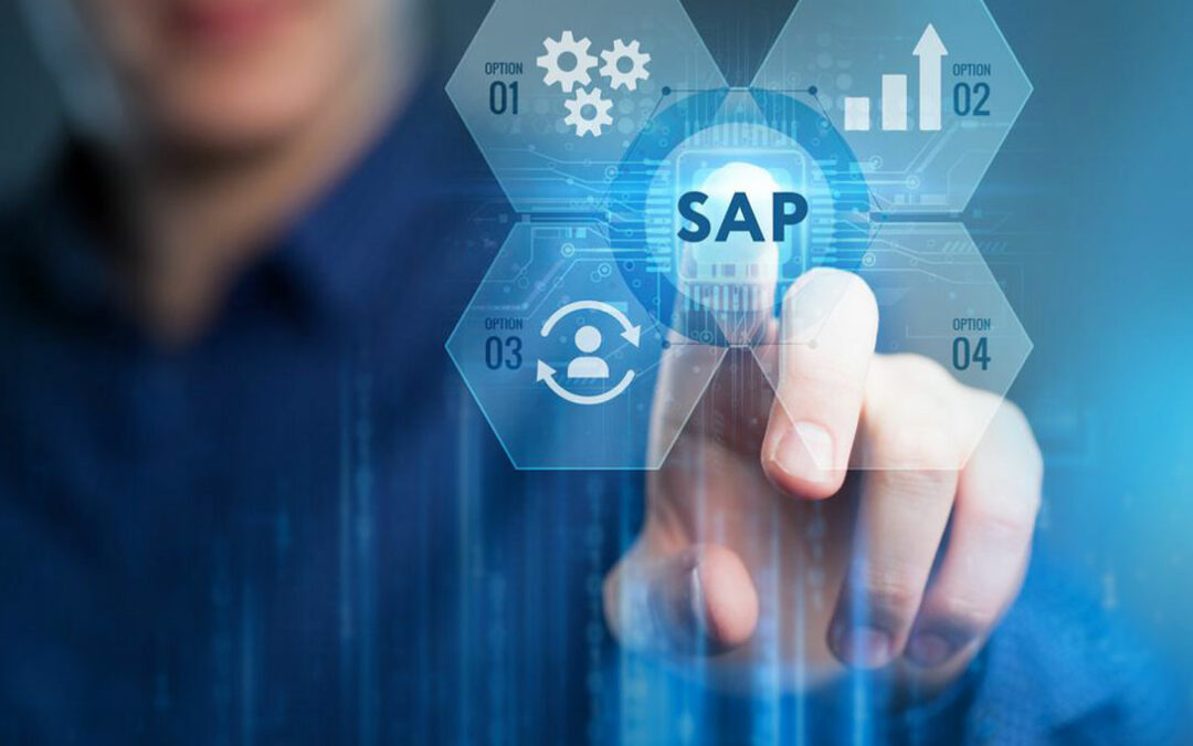 Guía definitiva de SAP Business One